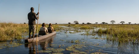 Okavango Delta, Makoro Safari