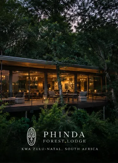 Phinda Forest Lodge, KwaZulu-Natal