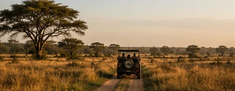 A Safari vehicle out on a drive in the Sabie Sand Reserve, South Africa.