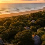 Thonga Beach Lodge setting